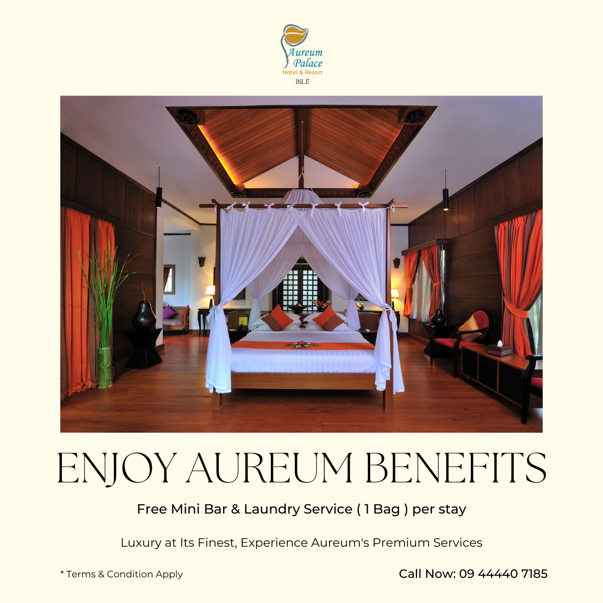 Enjoy Aureum Benefits Inle